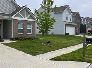 Brandon K.'s turf care service result