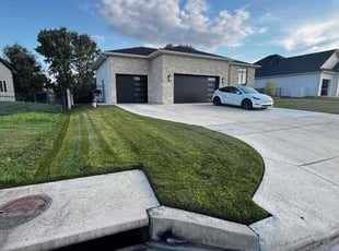 Kelsey S.'s Bush Trimming service result