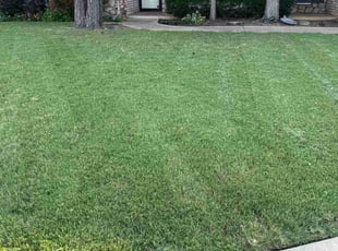 Elisabeth M.'s lawn care services service result