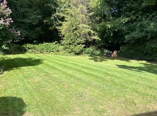 James C.'s lawn service service result