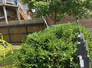 Joe P.'s Bush Trimming service result