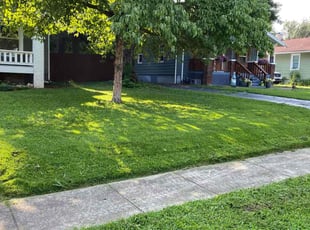 Alicia S.'s lawn care service result