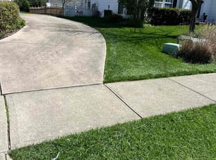 Darrell W.'s lawn care services service result