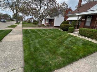Ruth L.'s Leaf Removal service result
