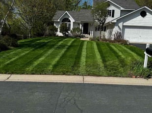 Latoya M.'s turf care service result