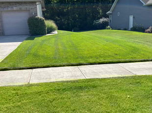 Hannah F.'s grass maintenance service result