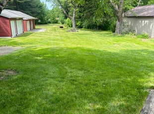 Tracy B.'s turf maintenance service result