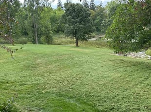 Judy s.'s lawn maintenance service result