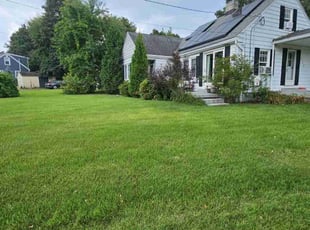 Kelley B.'s grass cutting service result