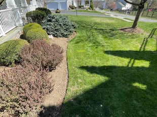 Haley M.'s grass maintenance service result