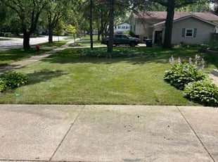 Norlyza A.'s lawn service service result