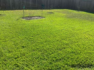 William F.'s turf maintenance service result