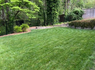 Deborah B.'s Long Grass Cleanup service result