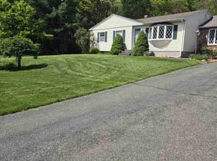 Ashley J.'s turf maintenance service result