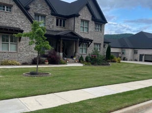 Marie R.'s lawn maintenance service result
