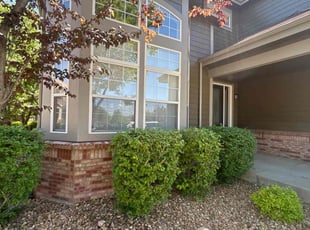 Adrienne C.'s Bush Trimming service result