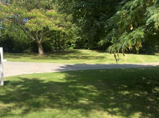 Sarah Z.'s grass maintenance service result