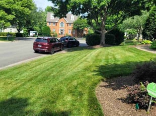 Bryan T.'s gardening service service result