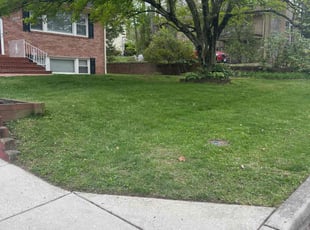 Leroy B.'s lawn service service result