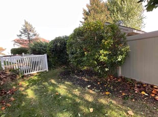Doug H.'s Bush Trimming service result