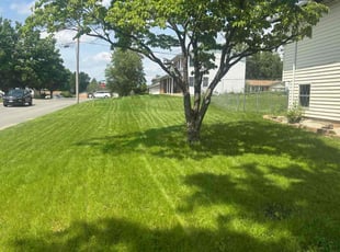 Miche H.'s grass cutting service result