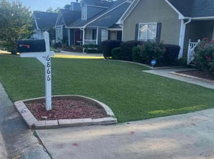 Michael C.'s Bush Trimming service result