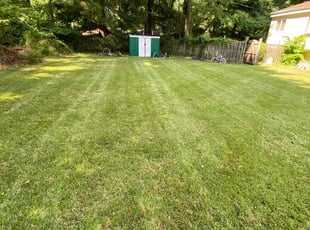Jean S.'s lawn maintenance service result