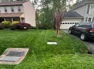 Alicia W.'s lawn care services service result