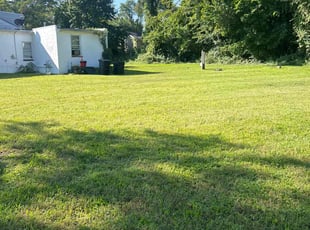 Peter B.'s lawn care services service result