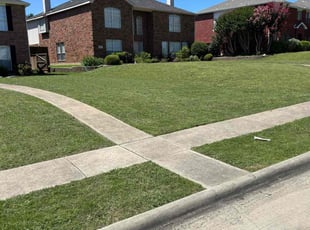 Kevin H.'s grass cutting service result