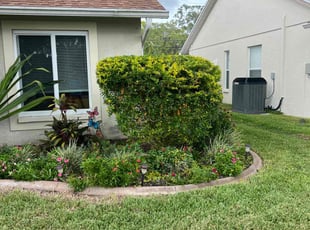 Derick K.'s Bush Trimming service result