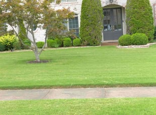 Yuran S.'s lawn service service result