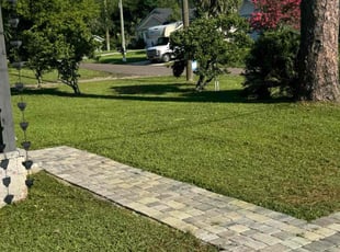 Samir W.'s lawn service service result