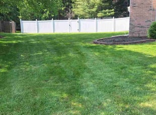 Deb J.'s grass maintenance service result