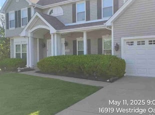 Mark B.'s turf care service result