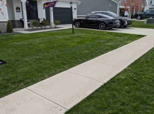 Robert L.'s turf maintenance service result