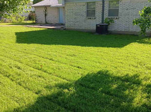 Mohammad K.'s lawn care services service result