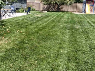 Jennifer A.'s lawn care service result