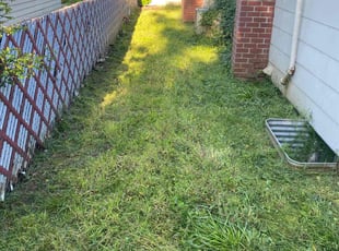 Rick H.'s Bush Trimming service result