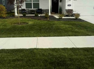 Carl C.'s lawn service service result