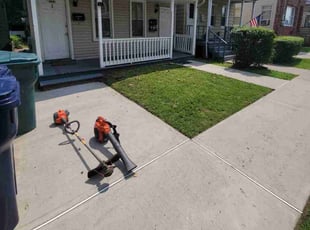 Daniel C.'s turf care service result