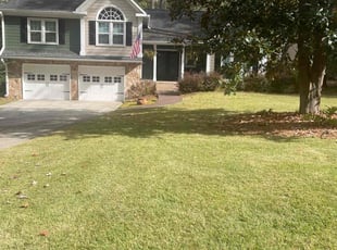 Robert J.'s lawn care service result