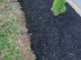 Stan C.'s Landscaping service result