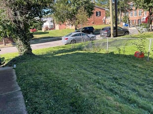 Doug S.'s lawn care service result