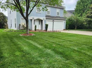 Joanna C.'s grass maintenance service result