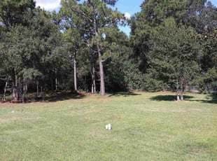 Judy C.'s lawn maintenance service result