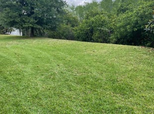 Kevin J.'s lawn care services service result