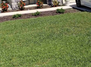 Nili N.'s grass maintenance service result