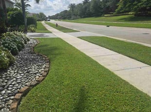 Thomas W.'s lawn care services service result