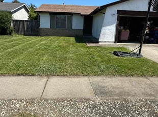 Jody V.'s Cleanups service result